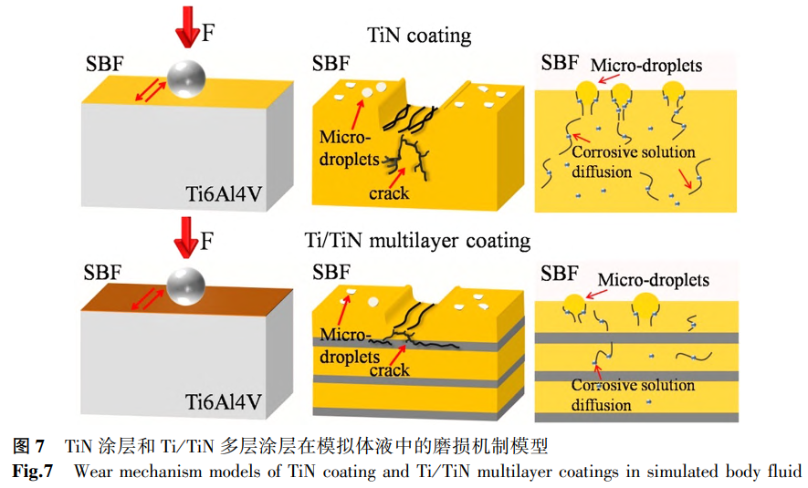 鈦涂層制備與后處理工藝及應(yīng)用研究進(jìn)展