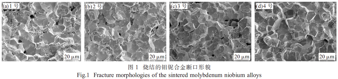 1673351231446729.jpg t1.jpg