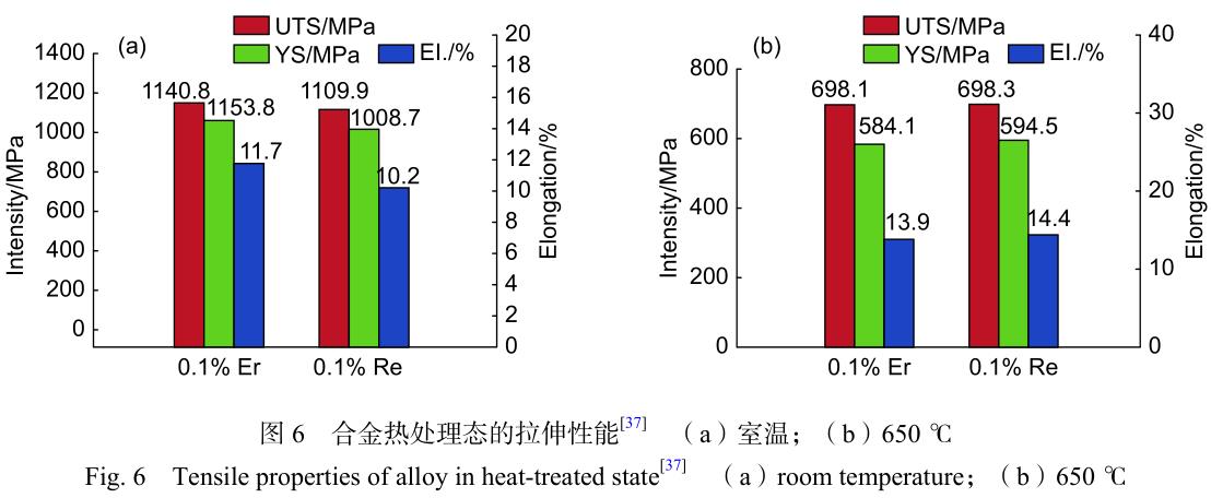 1699617394755772.jpg t6.jpg