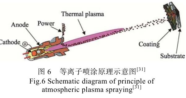 1701691771100196.jpg t6.jpg