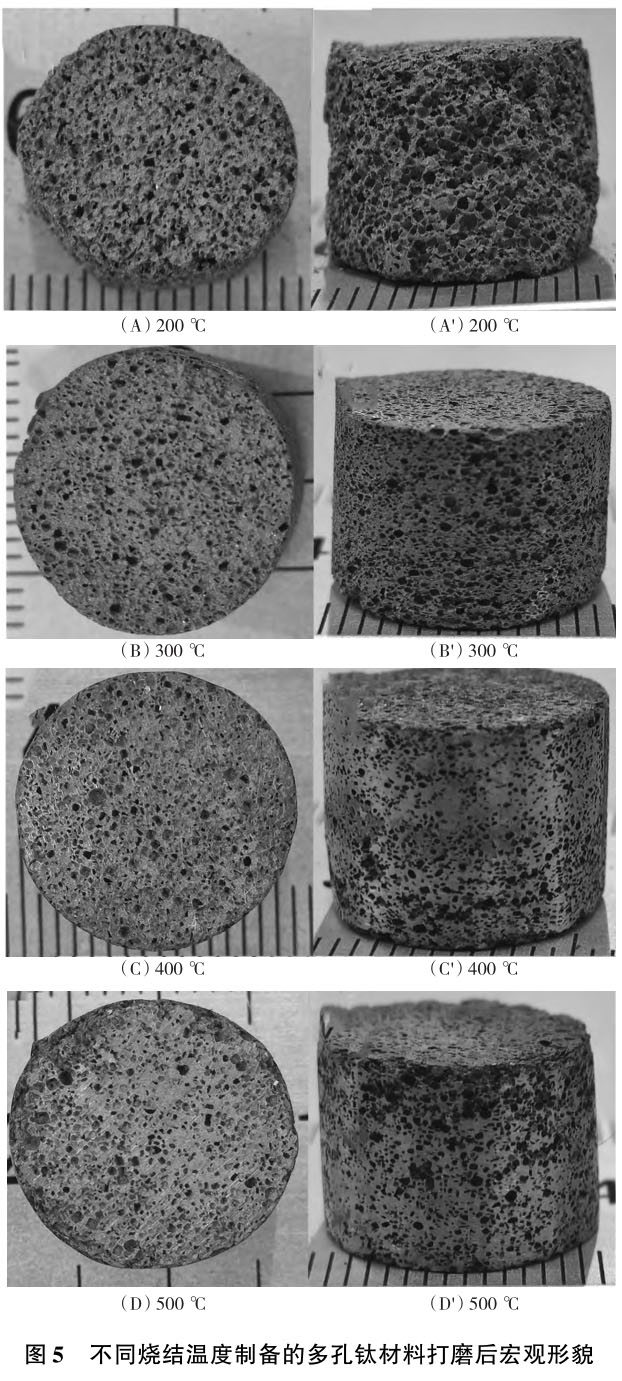 1706104801687877.jpg t5.jpg