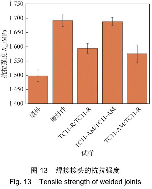 1706223029209846.jpg t13.jpg