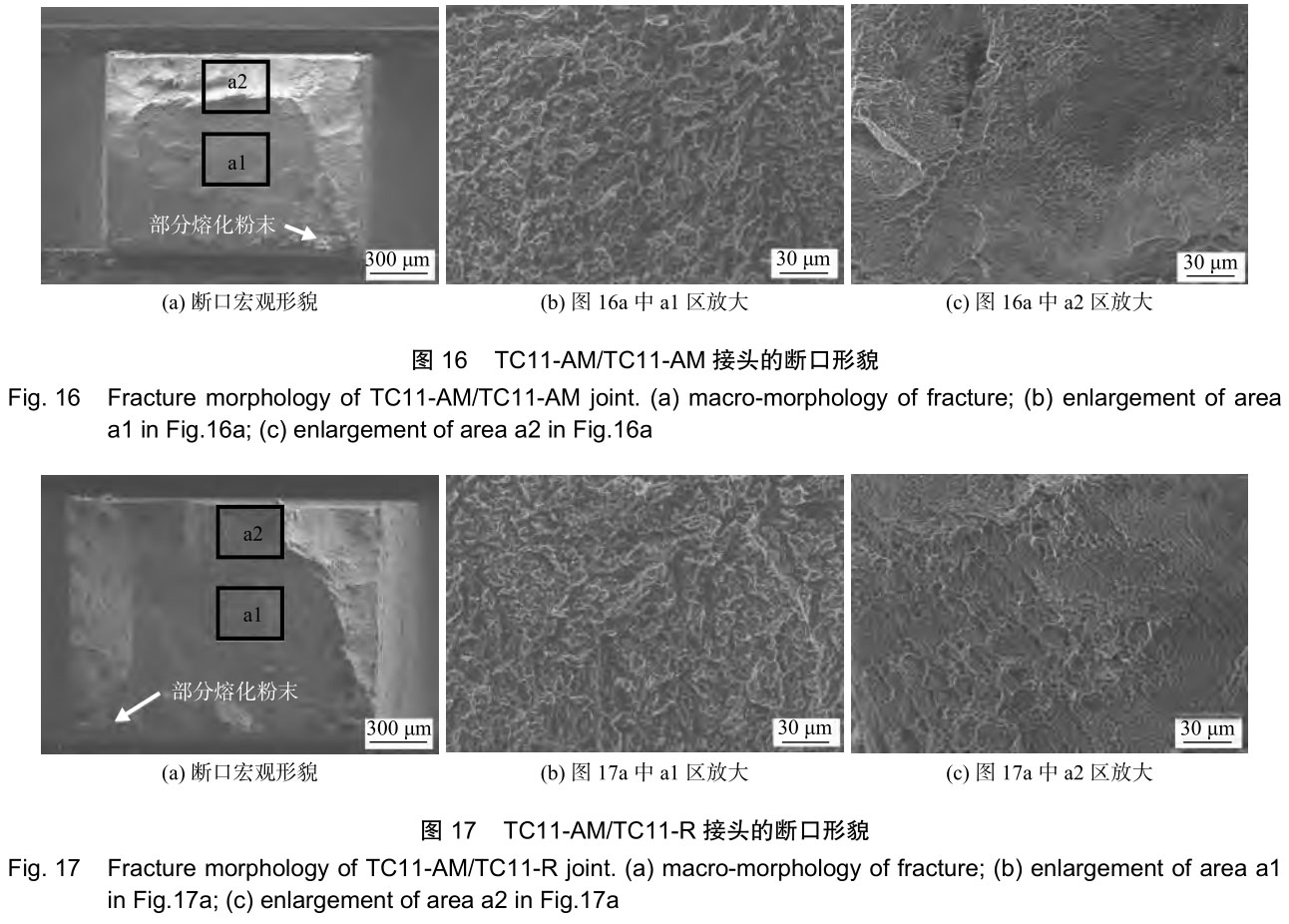 1706223056870667.jpg t16-17.jpg