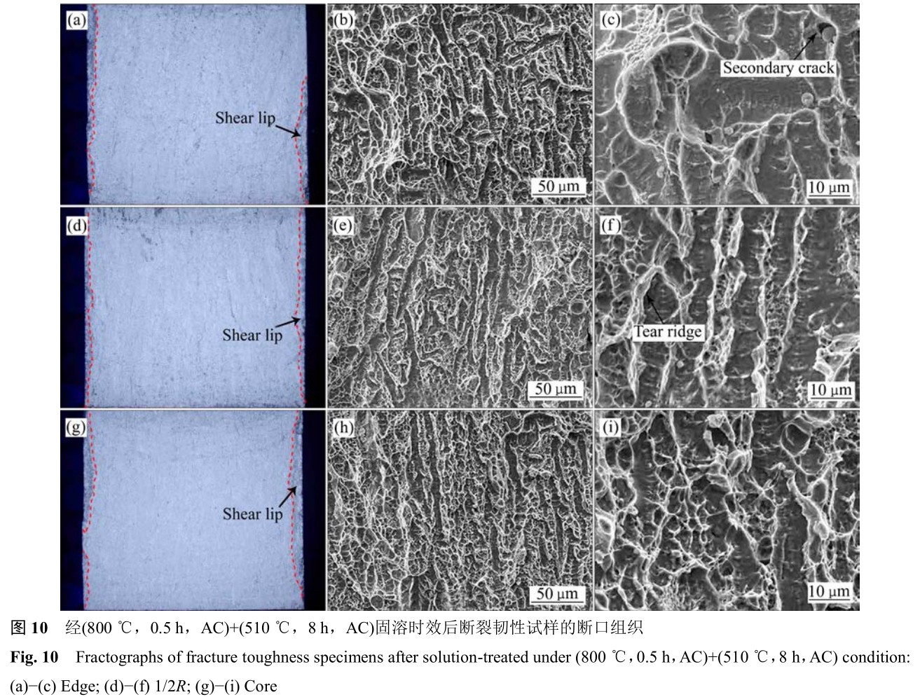 1700405153118734.jpg t10.jpg