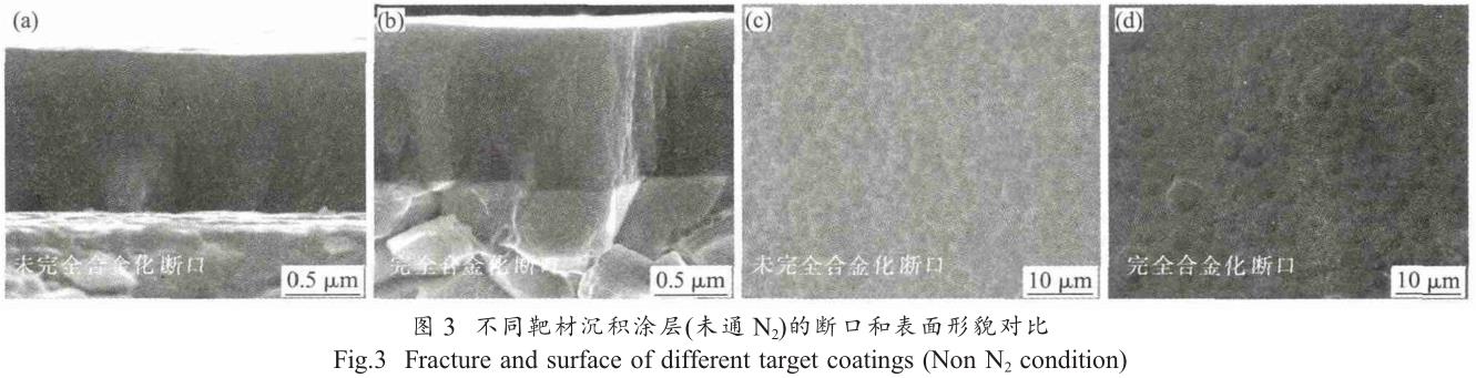 1708257916826347.jpg t3.jpg