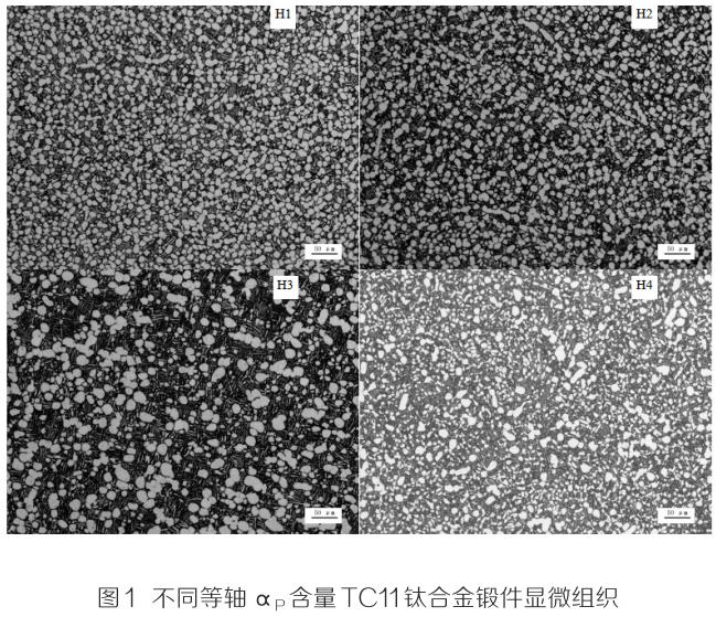 1708259907623314.jpg t1.jpg