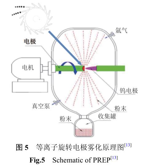 1721484091557774.jpg t5.jpg