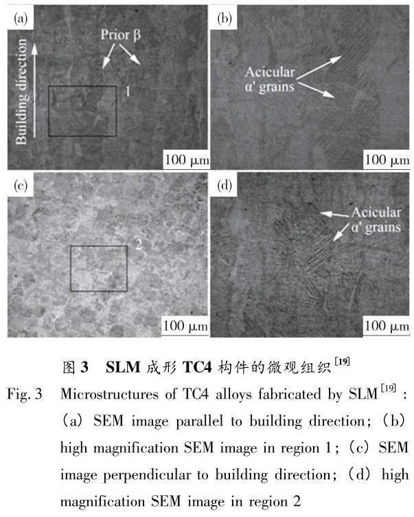 1721614657210392.jpg t3.jpg
