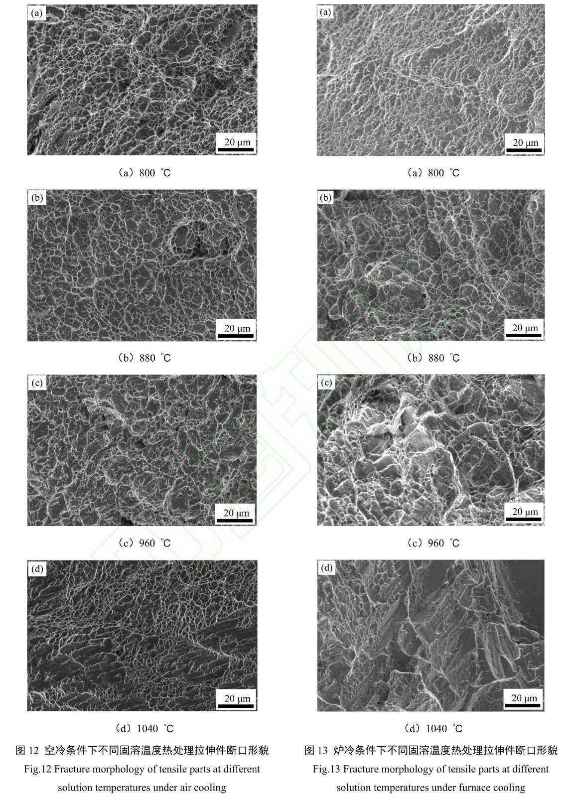 1727840866803411.jpg t12-13.jpg