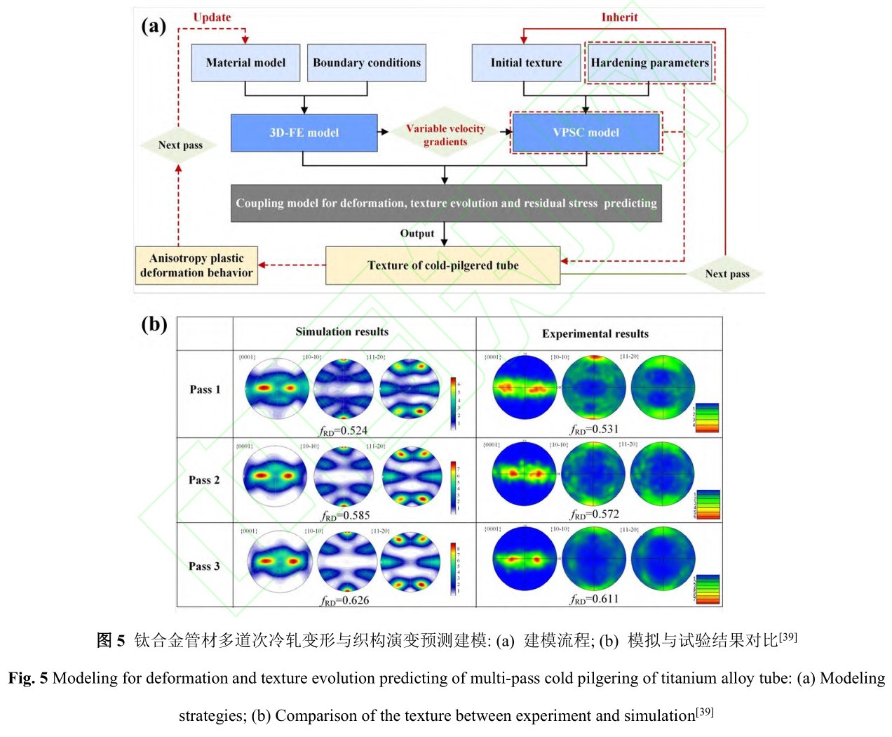 1729844205608559.jpg 5.jpg