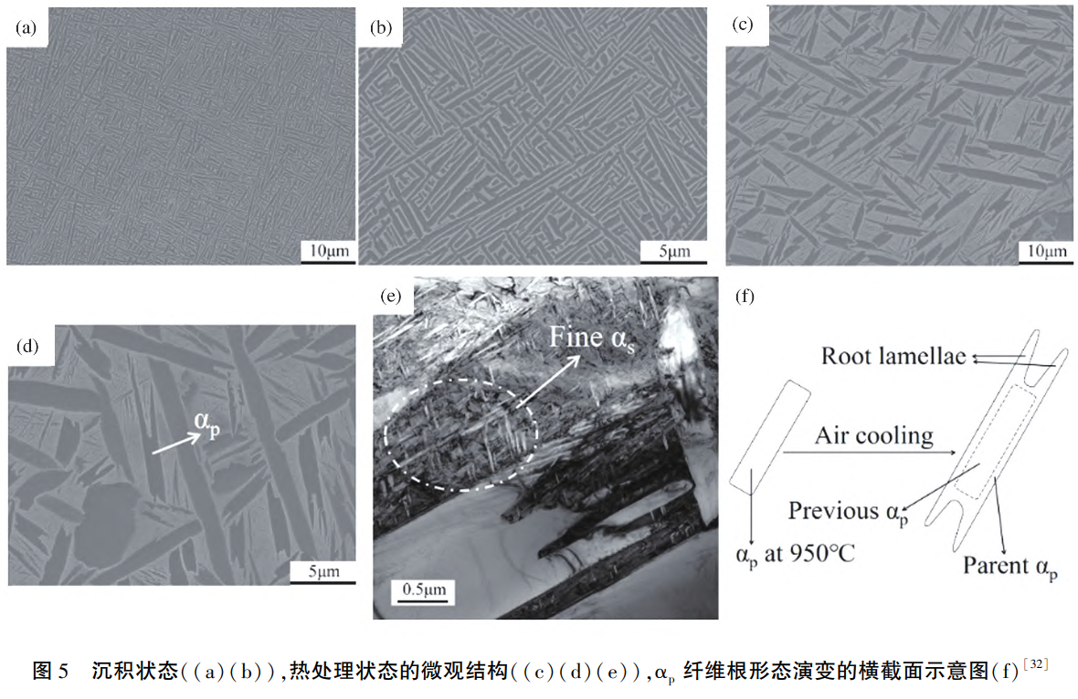 1731248615493828.png 截圖20241110222214.png