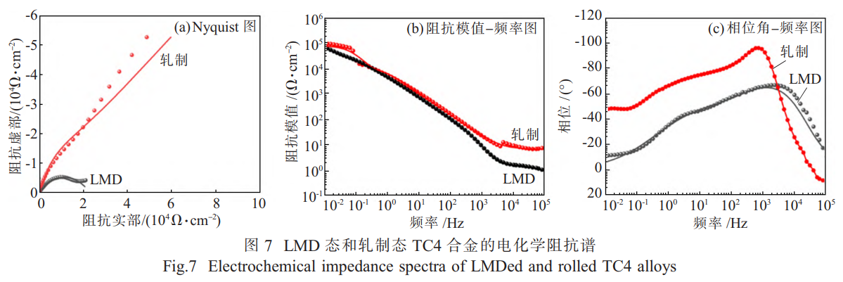 1734878103917367.png 7.png