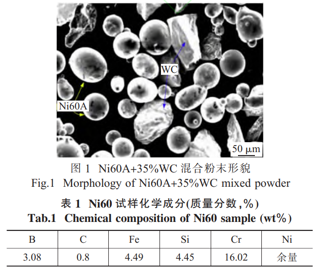 1734920025948721.png 1-b1.png