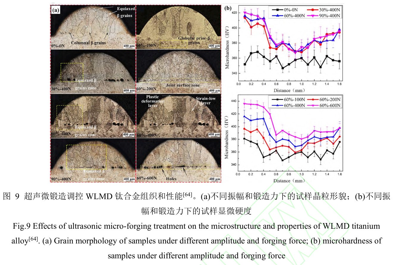 1735007830785393.jpg 9.jpg