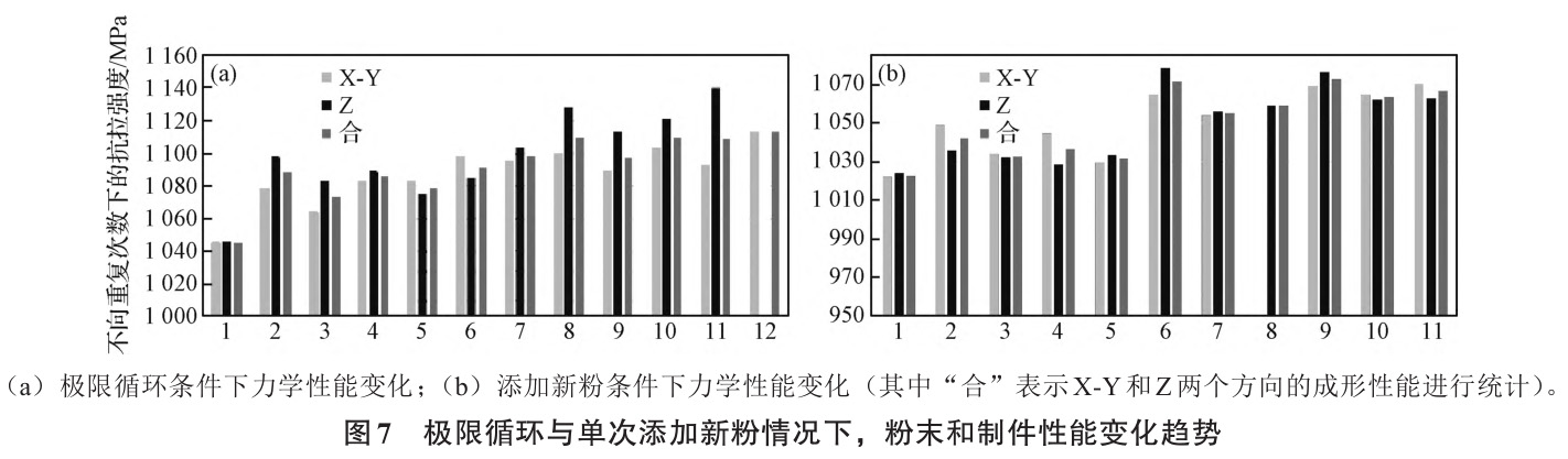 1735024758310898.jpg 7.jpg