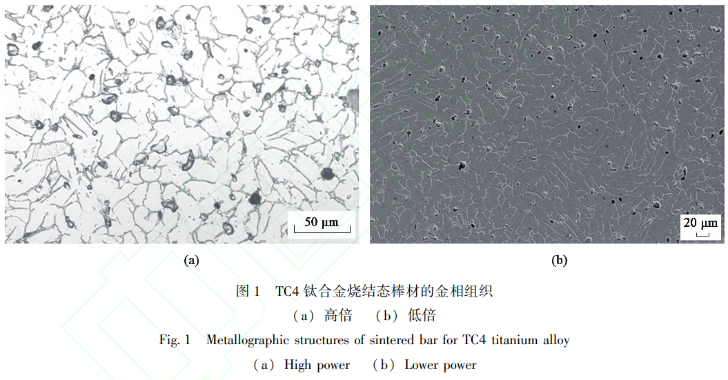 1737989507413415.png 截圖20250127224152.png