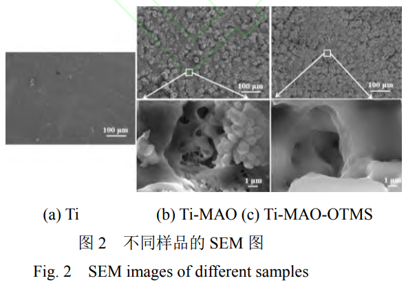 1738590037139285.png 截圖20250203213603.png