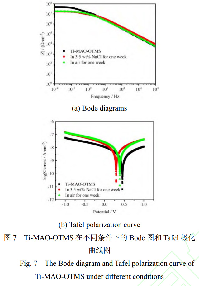 1738590210465829.jpg 7.jpg